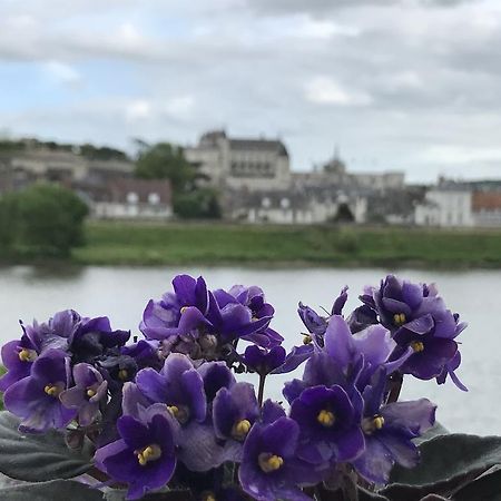 Les Studios De Soizick Amboise Kültér fotó